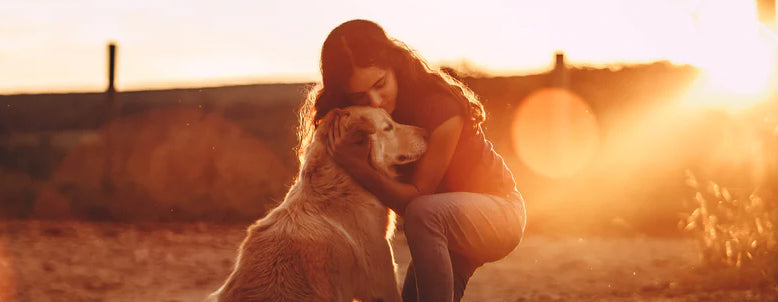 Ways to cope with pet loss