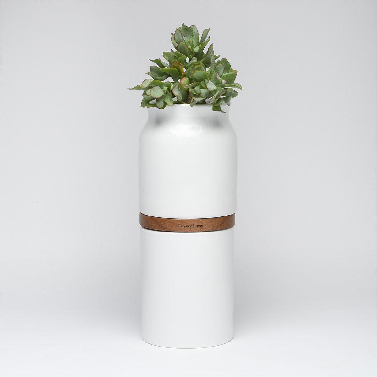 Vega Vase Urn in White With Dark Wood