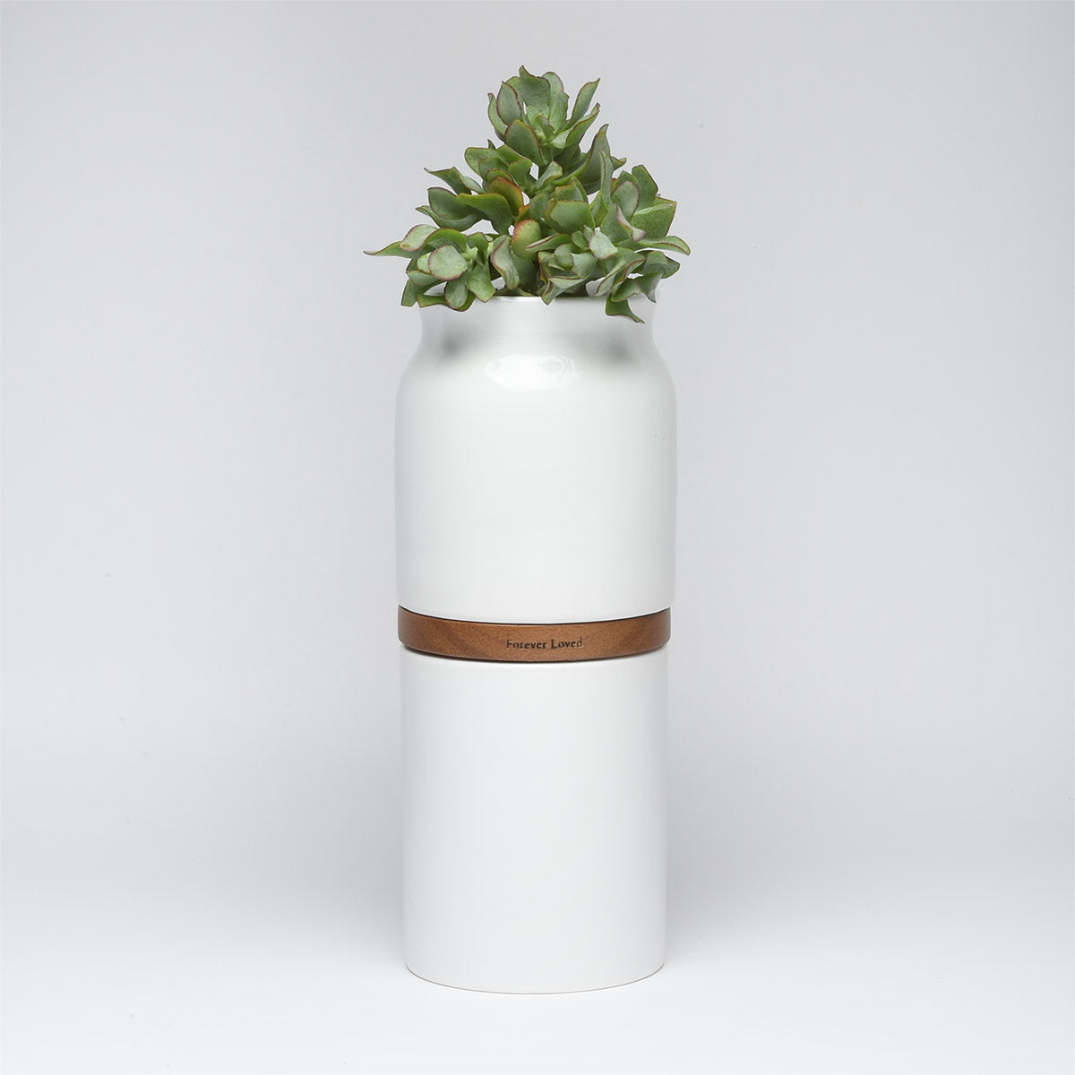 Vega Vase Urn: White With Dark Wood