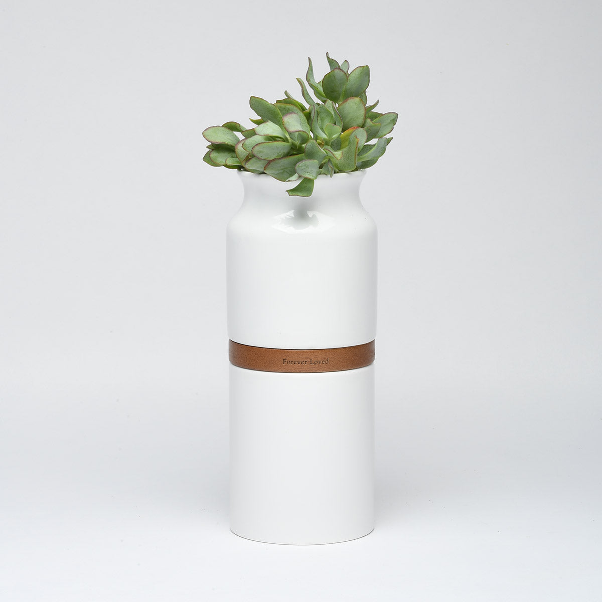 Vega Vase Urn: White With Dark Wood
