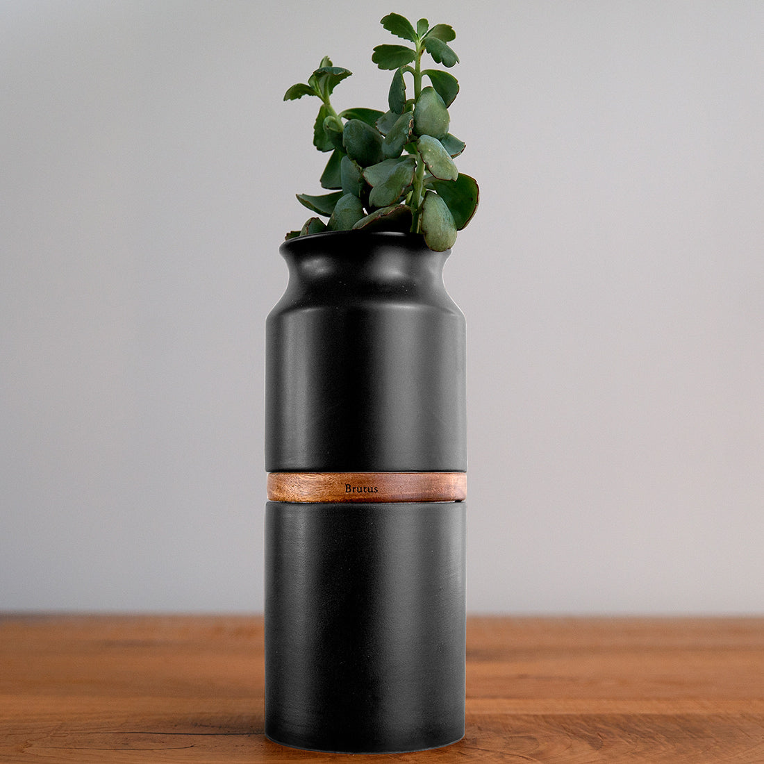 Sky Urns Pet Urn Vase: Matte Black with Dark Wood