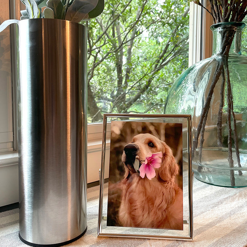 Aries Steel Urn Vase With Matching Frame